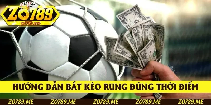 Hướng dẫn bắt kèo rung đúng thời điểm